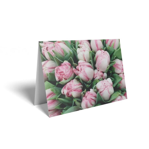 Folded Card Pink/White Tulips - 10 x 7cm - Pack 25