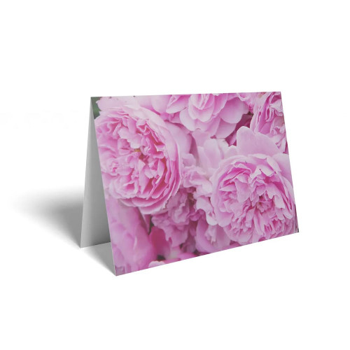 Folded Card Pink Roses - 10 x 7cm - Pack 25