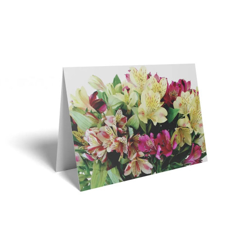 Folded Card Mixed Colour Alstromera - 10 x 7cm - Pack 25