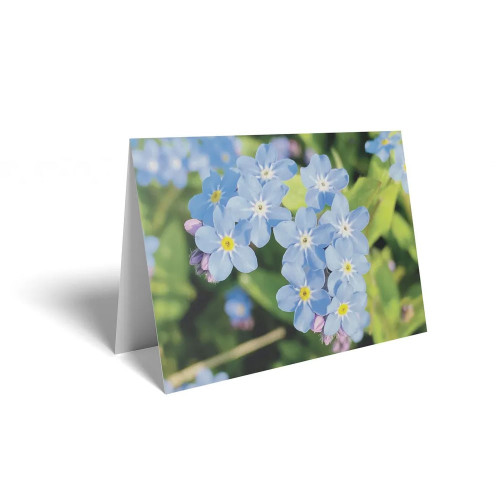 Folded Card Forget Me Not - 10 x 7cm - Pack 25