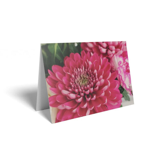 Folded Card Dark Pink Chrysanthemum - 10 x 7cm - Pack 25