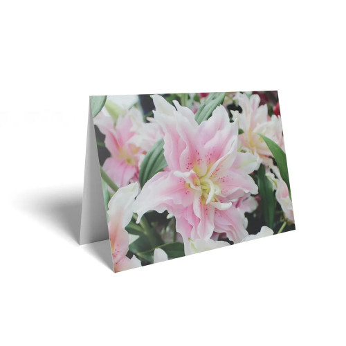 Folded Card Pink Lily - 10 x 7cm - Pack 25