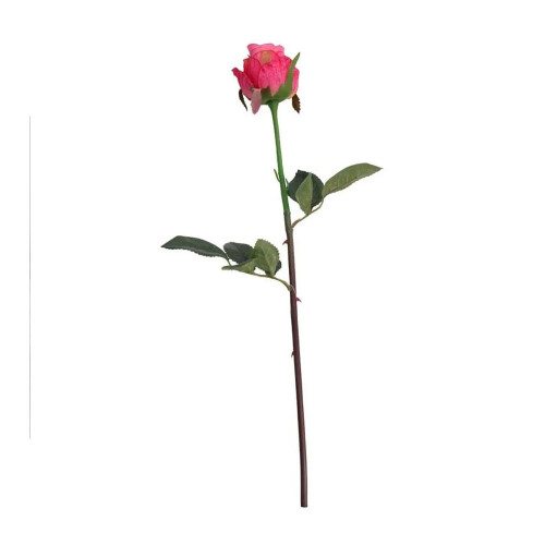 Oxford Rose Bud Fuschia