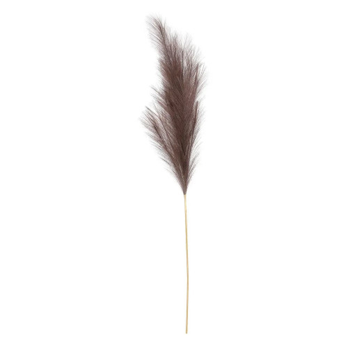 Luxury Pampas Mocha 15 Heads