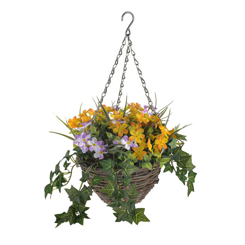 Wild Flower & Ivy Hanging Basket