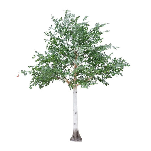 Silver Birch Tree Green 3.3M