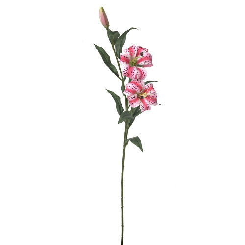 Lily x3 Pink 85cm