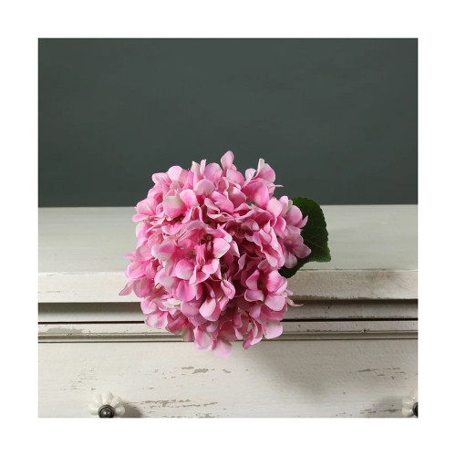 Tintangel Hydrangea Dark Pink