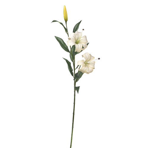 Lily x3 Cream 85cm