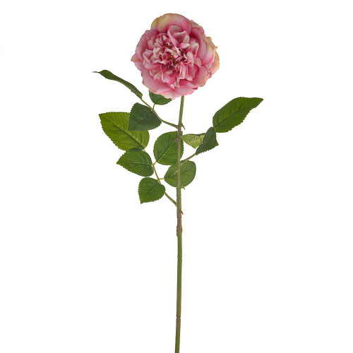 SORBET QUEEN ROSE SINGLE STEM PINK 70CM