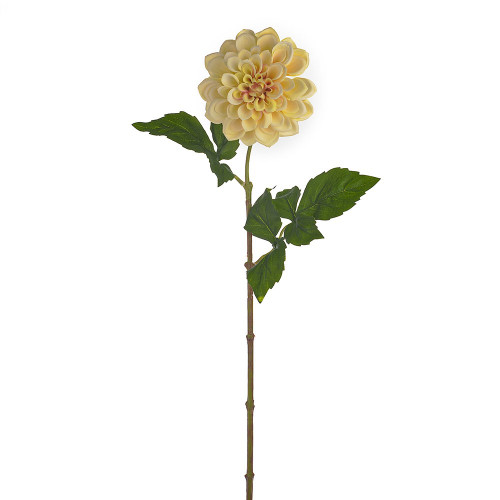 SORBET DAHLIA STEM YELLOW 60CM