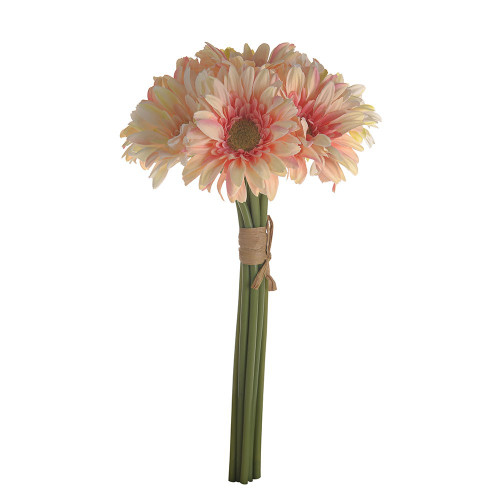 SORBET GERBERA BUNDLE X 8 PEACH