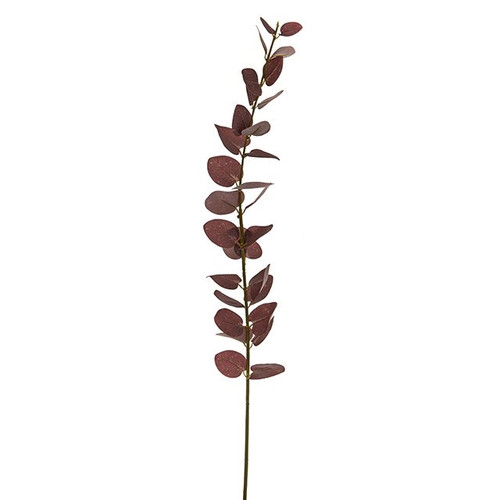 Eucalyptus Stem Burgandy