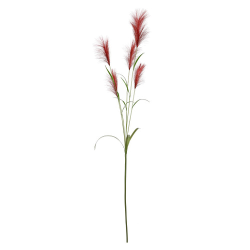 Pampas Grass Red (145cm)