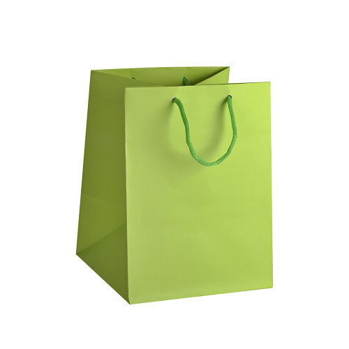 Hand Tie Bag Lime Green 25Cm Single