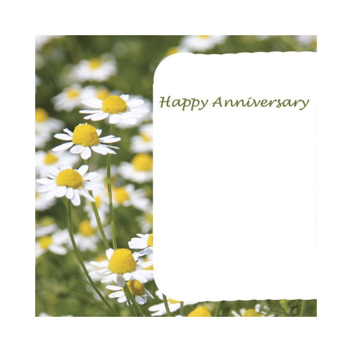 Card Daisies Happy Anniversary (50)