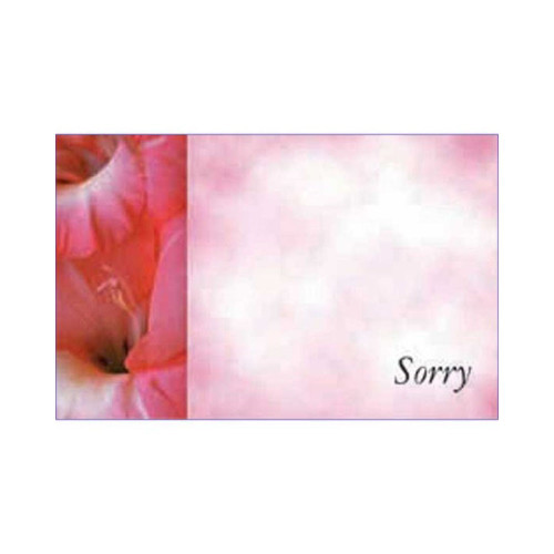 Card Flower Sorry (50)
