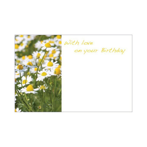 Card Daisies With Love On Your Birthday (50)