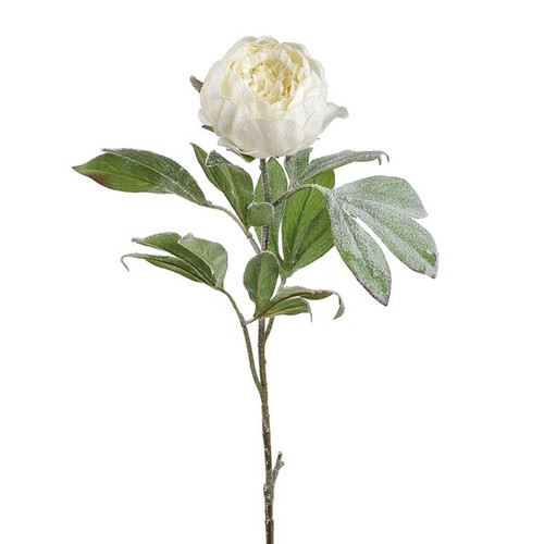 White Frosted Peony 79cm