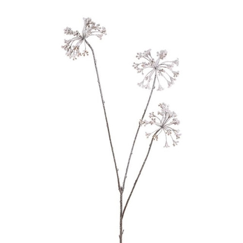 Queen Ann's Lace Snow Finish