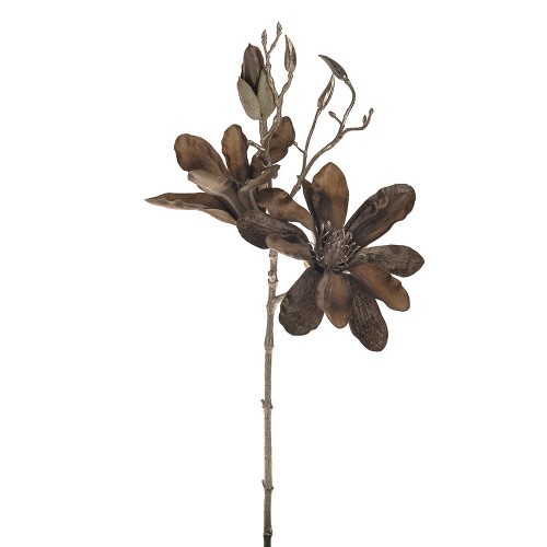 Magnolia Stem Gold 50Cm