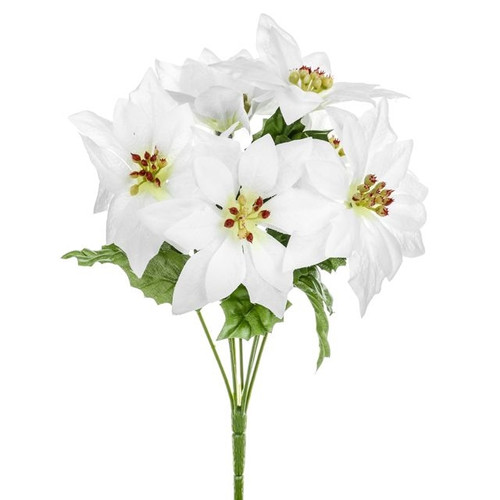 Prize Poinsettia Bush X7 White