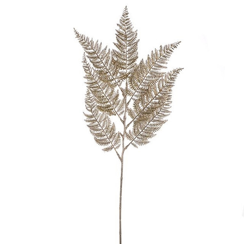 Fern Spray Champagne 81Cm