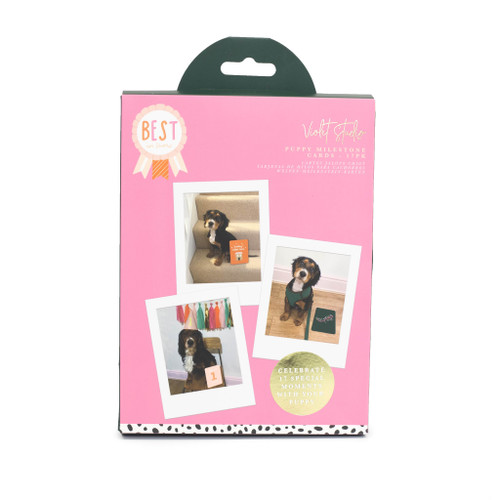 Milestone Cards - Best In Show - 18pk