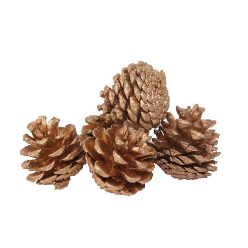 Gold Pinecones (250g / Net)