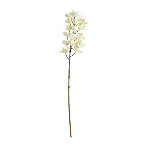 Cymbidium Spray Cream - 80cm