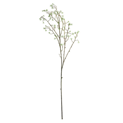Wild Carrot Cream - 91cm