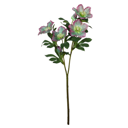 Christmas Rose - Pink - 65cm