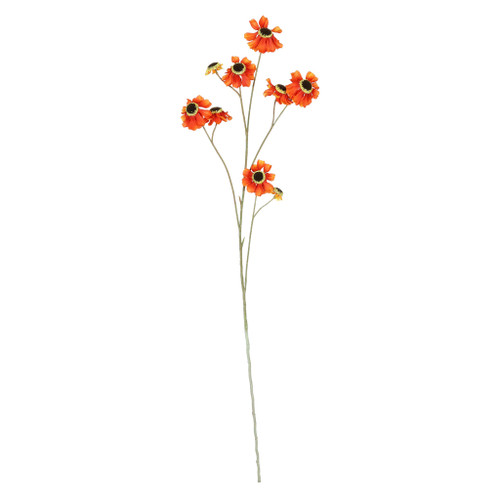 Helenium Flower - Dark Orange - 101cm
