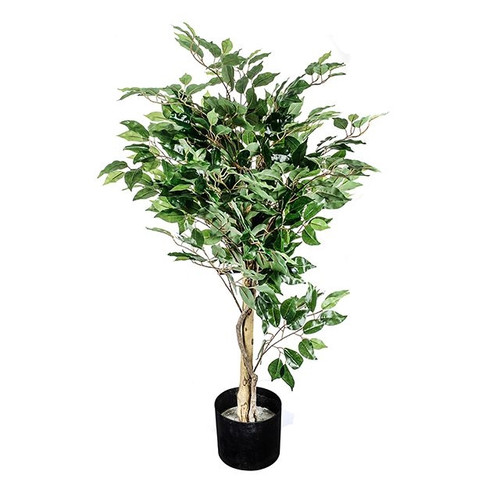 Potted Ficus Tree Green 104Cm