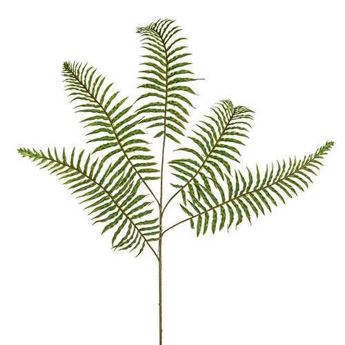 Prestige Fern Spray 74Cm