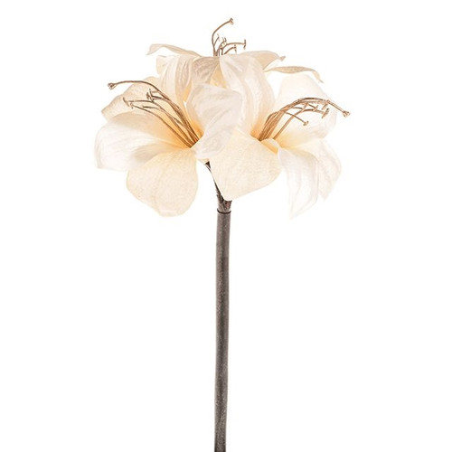 Emily Amaryllis Spray Cream 48Cm