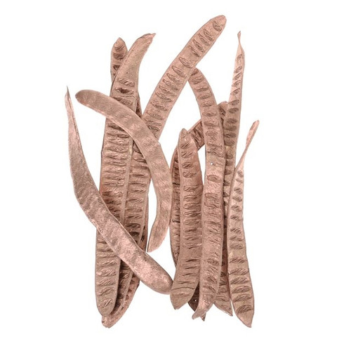 Step Fruit Extra Copper
