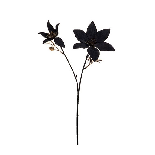 Clematis 2 Flower Spray Grey 45cm 