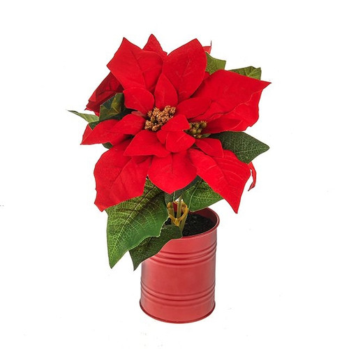 Potted Poinsettia Red 28 cm 