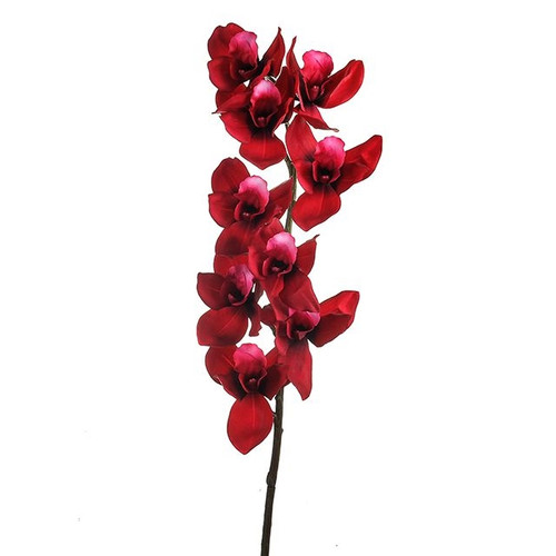 Anna Cymbidium Orchid Dark Pink 88Cm