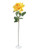 Rose Pippa Open Yellow 68Cm