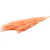 Pampas Stem Dadang Hd 70-90 l120.0 Peach