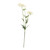 Scabiosa Spray X 3 White