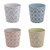 OLA Sorbet Planter Assorted Designs