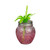 Strawberry Mason Jar With Straw 450ml