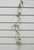 48" Glitter Willow Spray Champagne