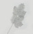 66cm Glitter Maple Leaf Silver