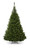 10ft Oregon Pine Tree 3337Tips