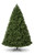8ft Denver Pine Tree 2541Tips