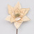 62cm Velvet Poinsettia Champagne
